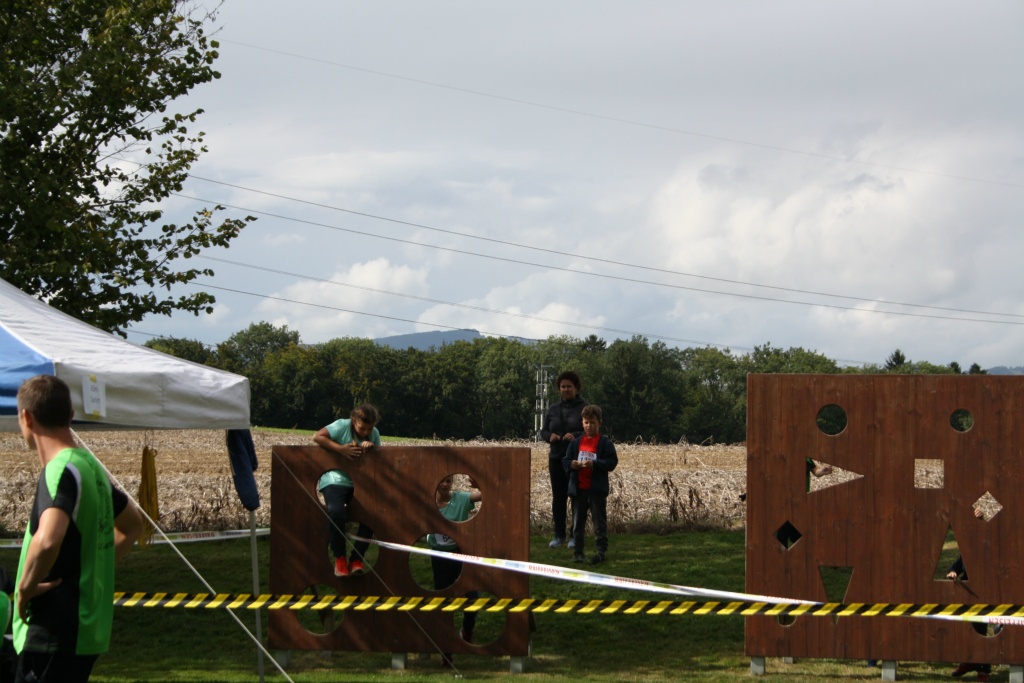 Bild 1 (155)